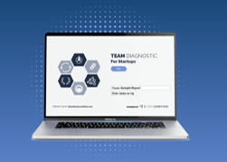 Computer screen showing the Team Diagnostic for Startups framework.